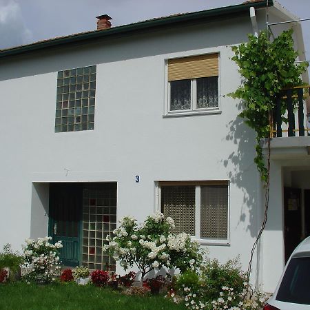 Apartments And Rooms Mirjana Bibinje Εξωτερικό φωτογραφία